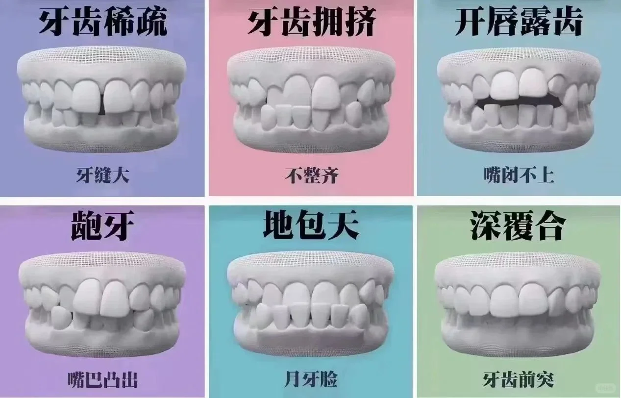 202606101428136414.png image.png