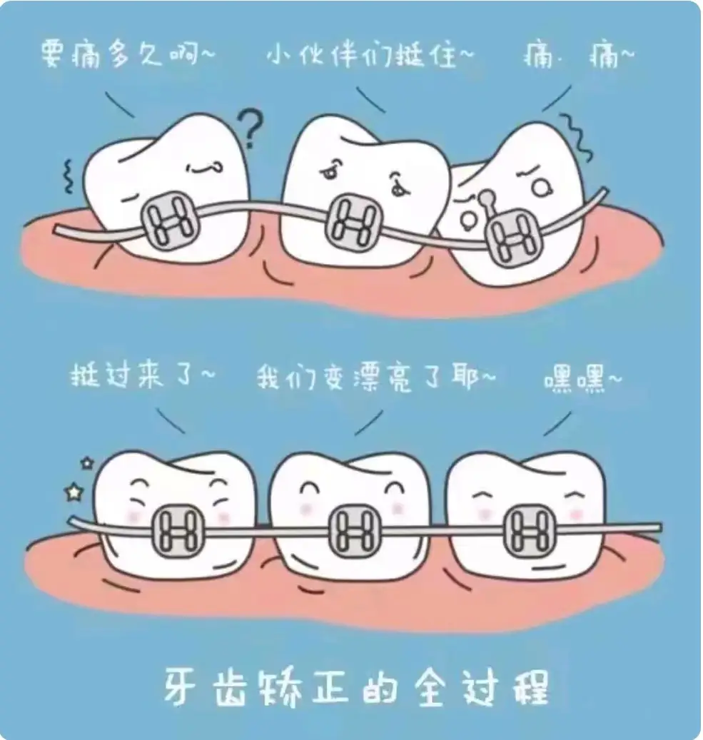 202607081545046878.webp aeef3a8ae615444c9e3cb99dc2e97830.webp